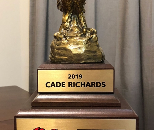 IMCA SportMod National Rookie of the Year Trophy